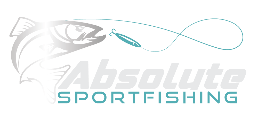 Absolute Sportfishing Alternate Logo